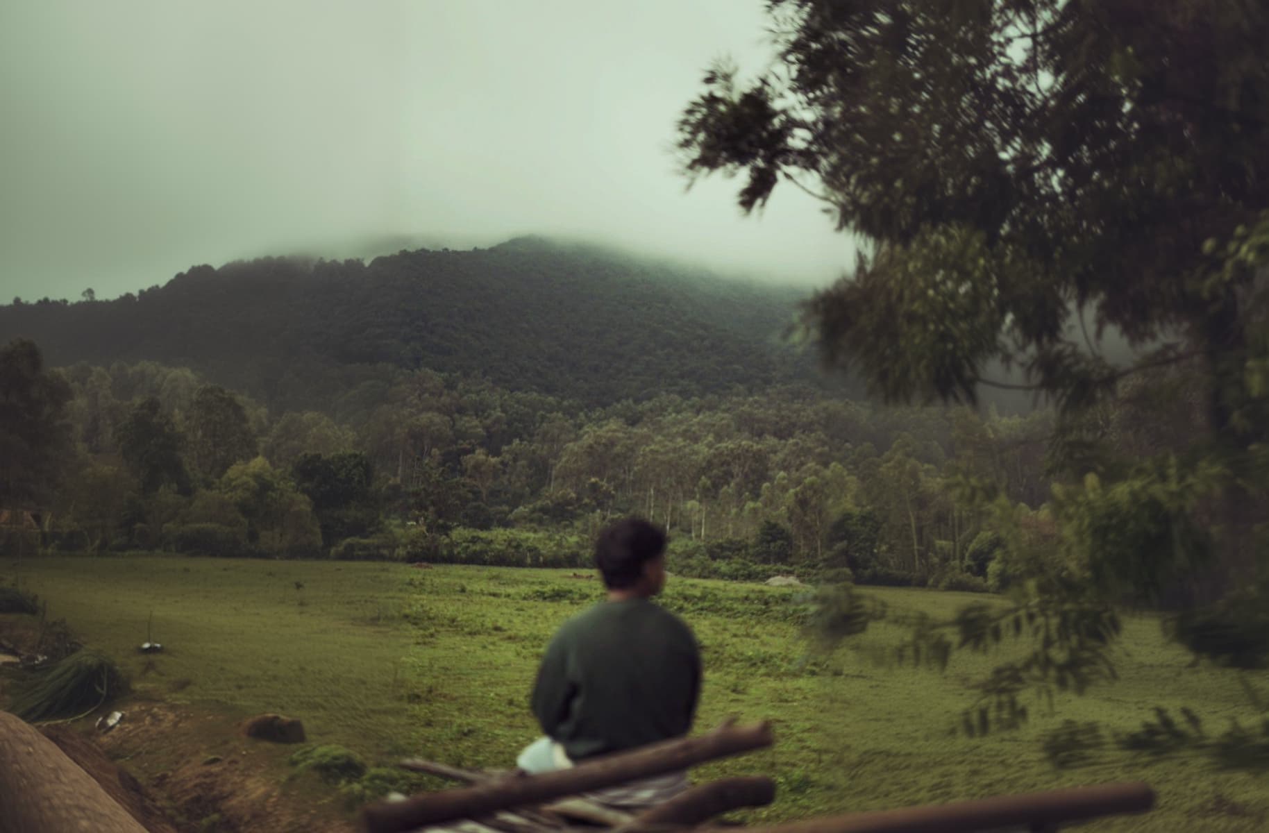 A boy looks at the forest